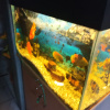 https://cdn.worldota.net/t/100x100/hotel_review/16/00/16003e79a52359ecb231f08cc2e46023902b3dc1.JPEG