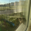 https://cdn.worldota.net/t/100x100/hotel_review/16/1b/161b27e10445a5ee989ed8dcfb95438ac7067e92.JPEG