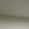 https://cdn.worldota.net/t/100x100/hotel_review/16/c8/16c89377d9062904d37aa30345c8f8e611042232.jpeg