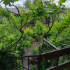 https://cdn.worldota.net/t/100x100/hotel_review/16/zz/16add1aa5f5090d41f57da286ddd240190d9782f.JPEG