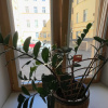 https://cdn.worldota.net/t/100x100/hotel_review/17/2e/172e07ac5f3f0b3057fbb79e387f6ab0924006f6.JPEG