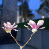 https://cdn.worldota.net/t/100x100/hotel_review/17/55/17554d3bd2f798fbea299e712f09a2e9347c3842.JPEG