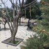 https://cdn.worldota.net/t/100x100/hotel_review/17/de/17de78155683fd8e586f535b480f06042c235481.JPEG