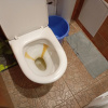 https://cdn.worldota.net/t/100x100/hotel_review/18/c8/18c82371b506a2b96069b960676745ad4fa94250.JPEG