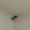 https://cdn.worldota.net/t/100x100/hotel_review/19/31/1931526528854541181c51f41cbddedbeca88828.JPEG