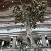 https://cdn.worldota.net/t/100x100/hotel_review/19/9a/199ae0a9dc3a0f1fda0bca5e72fbaf186eaa2278.JPEG