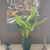 https://cdn.worldota.net/t/100x100/hotel_review/1a/a0/1aa08bdec8771ff0f839f74b43e863a97bbbcd78.jpeg