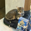 https://cdn.worldota.net/t/100x100/hotel_review/1b/a7/1ba755268952fd8e41ef058084bca49334588244.JPEG