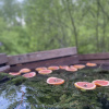 https://cdn.worldota.net/t/100x100/hotel_review/1c/3f/1c3fa98c29b9129b7adc4e1bf5a3641cc9c143cd.JPEG