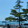 https://cdn.worldota.net/t/100x100/hotel_review/1c/50/1c50429fe3b4ed66bbf120b9a01e26d6f0df91a2.JPEG