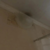 https://cdn.worldota.net/t/100x100/hotel_review/1d/54/1d54effd6caa6e3342acdf20a7f584d2b8a3ed9f.JPEG