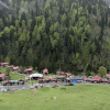 https://cdn.worldota.net/t/100x100/hotel_review/1d/97/1d97799b434c67e8f85bcbb568da56217792e6d4.JPEG