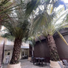 https://cdn.worldota.net/t/100x100/hotel_review/1f/30/1f30ac35193079499b1725745d76a86a3a1fe450.JPEG