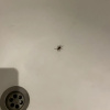 https://cdn.worldota.net/t/100x100/hotel_review/20/1d/201d4250aff3ab4819de8eecfc93b42b57d0d99e.JPEG