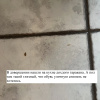 https://cdn.worldota.net/t/100x100/hotel_review/21/35/2135d90bff1272c01612cffa452a0135808b61f7.JPEG