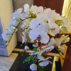 https://cdn.worldota.net/t/100x100/hotel_review/21/4f/214fe1177b07871e92fd74f38e15c4a0fdf221e6.JPEG
