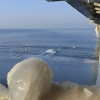 https://cdn.worldota.net/t/100x100/hotel_review/21/f0/21f0dec383e7a035660fbd8a0b549476aa572c25.JPEG