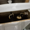 https://cdn.worldota.net/t/100x100/hotel_review/22/29/2229629d48a3dfd90400fcc970f13fea38a33eb3.JPEG