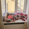 https://cdn.worldota.net/t/100x100/hotel_review/22/a4/22a4ea45441f477568af20ea679618426aa4e248.JPEG