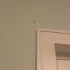 https://cdn.worldota.net/t/{size}/hotel_review/22/ee/22eec928bc5ab952175be4d68ea7449fdfb17202.jpeg