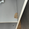 https://cdn.worldota.net/t/100x100/hotel_review/23/ab/23ab319f4f350742a1b7ad3d3e1bdfe08e5492e7.JPEG