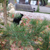 https://cdn.worldota.net/t/100x100/hotel_review/23/bb/23bbff83eb1f083f5bf801523d74598db59f2bee.JPEG