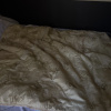 https://cdn.worldota.net/t/100x100/hotel_review/23/ed/23ed93f9c1ceff94dafa6c06499211bc8eb4d7af.JPEG