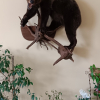 https://cdn.worldota.net/t/100x100/hotel_review/24/73/24734d2843544cbbd3e9da0a800ce75f647f52a1.JPEG