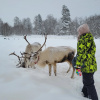 https://cdn.worldota.net/t/{size}/hotel_review/25/5a/255a42f6e1e30f1d9b2187c11c9aea0a042ba1ad.JPEG