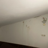 https://cdn.worldota.net/t/100x100/hotel_review/25/89/25897fd5314e166a5bb64f62a8bf1dee151efb1f.JPEG