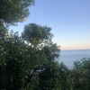 https://cdn.worldota.net/t/100x100/hotel_review/25/c1/25c1ed1ce8452e74c431ee0119b809869819a0a2.JPEG