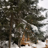 https://cdn.worldota.net/t/{size}/hotel_review/26/37/2637c478204796cc7ba2bfaa91959ca100ea82de.JPEG