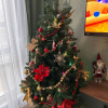 https://cdn.worldota.net/t/100x100/hotel_review/26/7c/267c849ff295c22ece83231787e8b417ab39edc7.JPEG