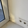 https://cdn.worldota.net/t/100x100/hotel_review/26/a0/26a0d4c1f40e44ee8a88bbcf1373ce2123cf803b.JPEG