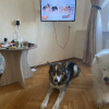 https://cdn.worldota.net/t/100x100/hotel_review/26/c4/26c4de4df69e8ef2ea69cc7f743c2cbddb4849f7.JPEG