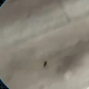 https://cdn.worldota.net/t/100x100/hotel_review/27/8e/278ed9b22b80e942e783c686fc06442442a07449.JPEG