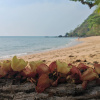 https://cdn.worldota.net/t/100x100/hotel_review/28/94/289453ccabfe6ba3713268485fc5303e6f756e90.JPEG