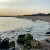https://cdn.worldota.net/t/{size}/hotel_review/29/67/2967799ac937997d4bf8c9983b302ca015d84105.JPEG