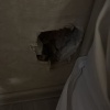 https://cdn.worldota.net/t/100x100/hotel_review/2a/c9/2ac9ffd05469bfaecf4987b6c5815d31e8bfefb5.JPEG