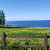 https://cdn.worldota.net/t/100x100/hotel_review/2c/2d/2c2d7842f1a1ebebf828cb52330a9893d41f8cfa.JPEG