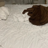 https://cdn.worldota.net/t/100x100/hotel_review/2d/17/2d179fd9d44d07217805c37895a229b9eb6dc368.JPEG