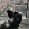 https://cdn.worldota.net/t/{size}/hotel_review/2d/5a/2d5ab7a04b4ae66f59fa5ea5942895e8707866ae.JPEG