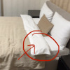https://cdn.worldota.net/t/{size}/hotel_review/2e/04/2e04e23c096b72d717d3eecf0d17e10ecef7c83b.JPEG