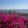 https://cdn.worldota.net/t/100x100/hotel_review/2e/46/2e46f5569bdafebeabb38e35bfb69b743ea0f95e.JPEG
