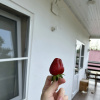 https://cdn.worldota.net/t/100x100/hotel_review/2e/5a/2e5a5f637c7b2c2e574f0ac8e6660efc0846464f.JPEG