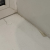 https://cdn.worldota.net/t/100x100/hotel_review/2f/71/2f7101ade94d04a295778a979a0563ac07f17cbf.JPEG