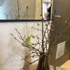 https://cdn.worldota.net/t/100x100/hotel_review/30/68/306887b15d38501444ded0bad6aa6ba37d1c8d3d.JPEG
