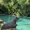 https://cdn.worldota.net/t/{size}/hotel_review/30/bf/30bfbe77dc2219ac8b86bbbe6e59f0f4791e571b.JPEG