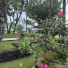 https://cdn.worldota.net/t/100x100/hotel_review/31/3b/313b5108b68eebb00c08a5f562b7fcbc2386c522.JPEG