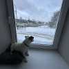 https://cdn.worldota.net/t/100x100/hotel_review/31/5e/315eab0e40aa4aa24d7243db32a649e0f40e01de.JPEG